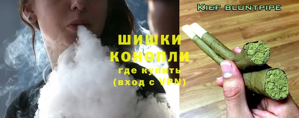 Альфа ПВП Ельня