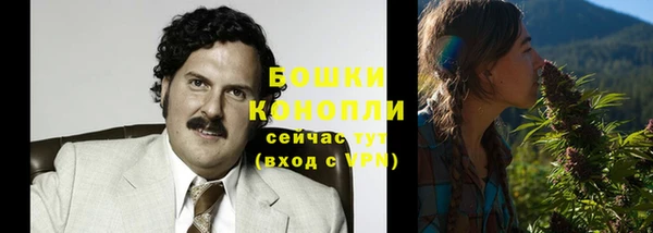 Альфа ПВП Ельня