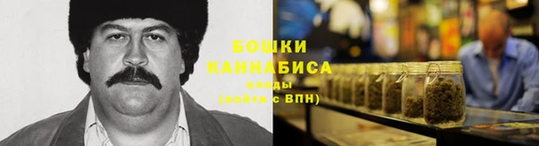 крисы Дмитровск