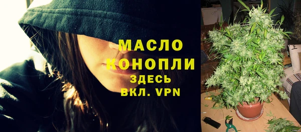 Альфа ПВП Ельня