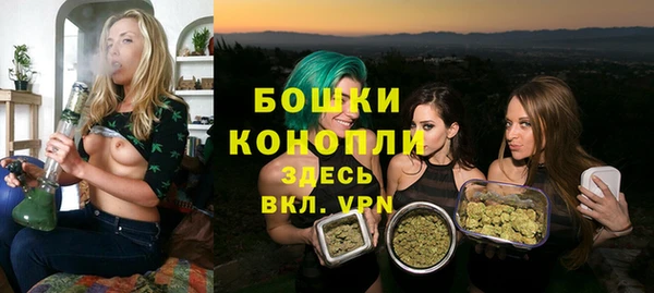 Альфа ПВП Ельня
