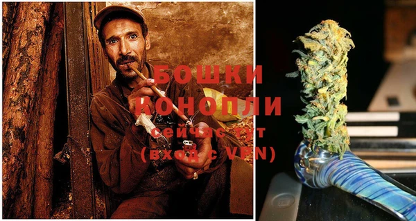 Альфа ПВП Ельня